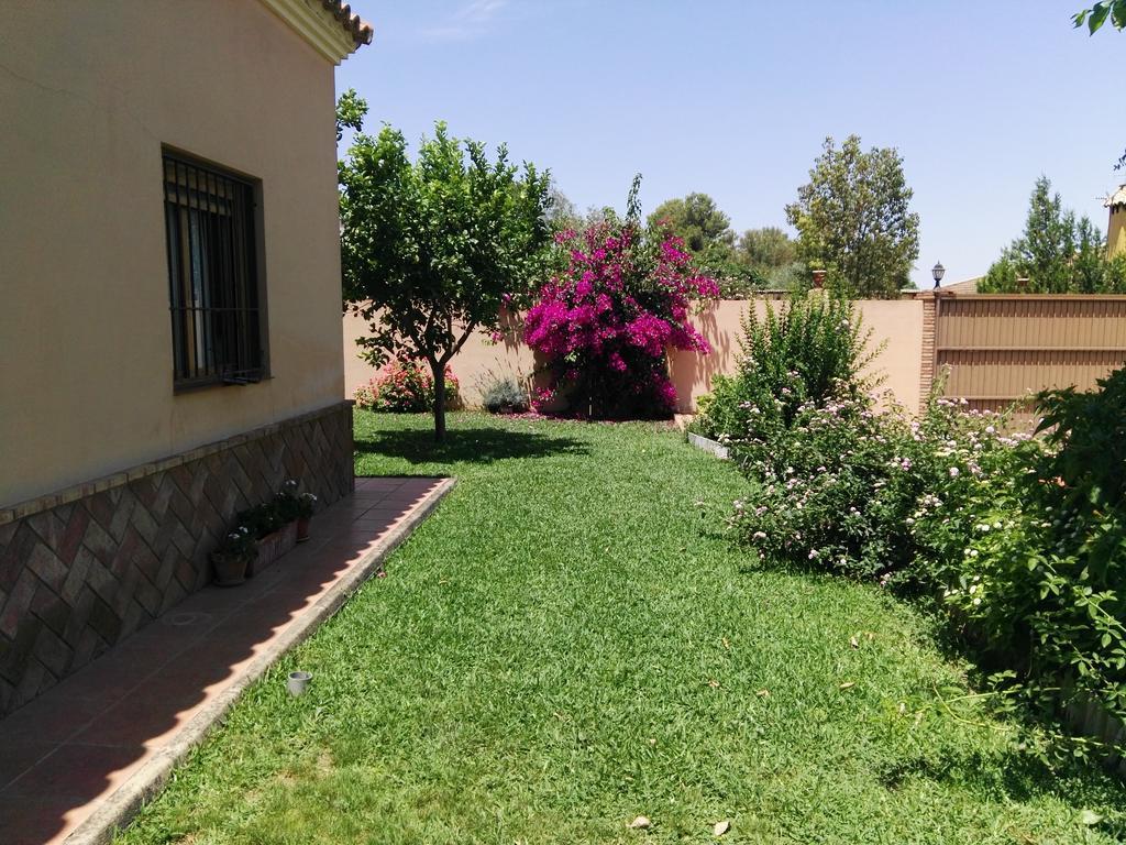 Casa Rural Orégano Carmona (Seville) Exterior foto